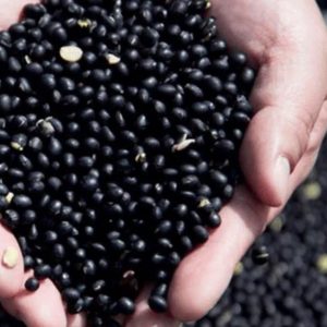 서리태 (Green Kernel Bean, 3kg)